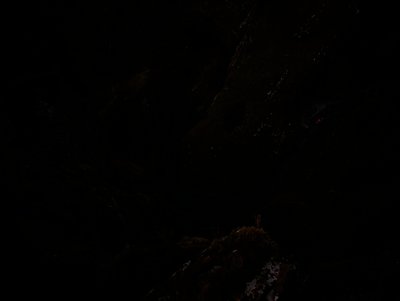 Cheers For The Years, by Felix Russell-Saw