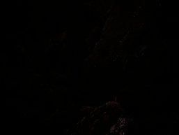 Cheers For The Years, by Felix Russell-Saw