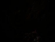 Cheers For The Years, by Felix Russell-Saw