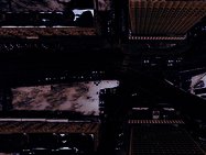 Photo by Nikita Maru