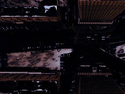 Photo by Nikita Maru