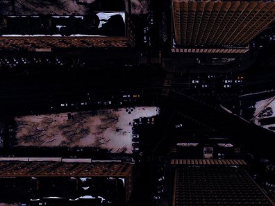 Photo by Nikita Maru